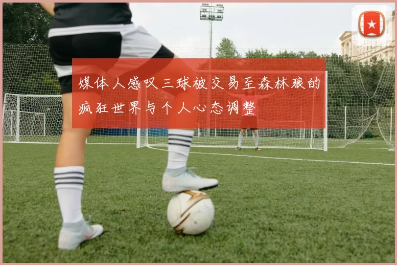 媒体人感叹三球被交易至森林狼的疯狂世界与个人心态调整